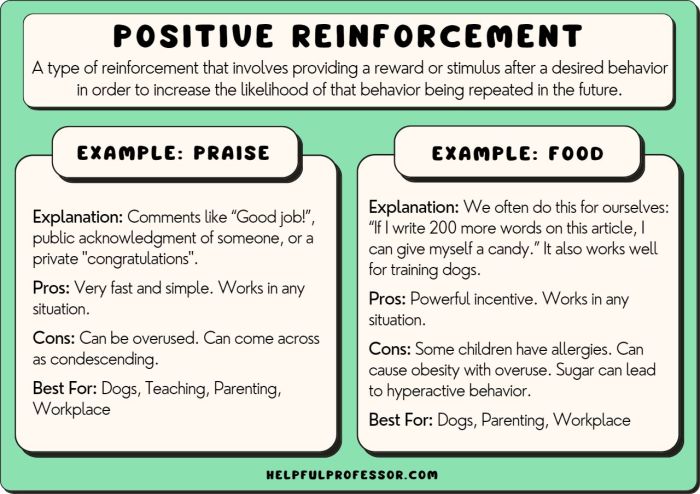 Positive reinforcement behavior positivity affirmations Positive reinforcement behavior positivity affirmations